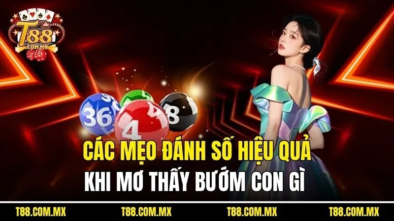 Các mẹo đánh số hiệu quả khi mơ thấy bướm con gì 